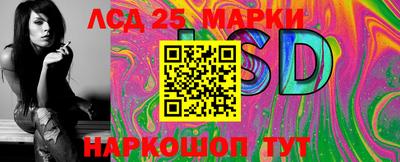 гашик Новодвинск