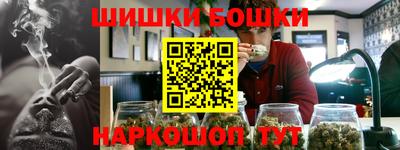гашик Новодвинск